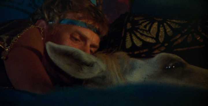 caligula_mcdowell_horse